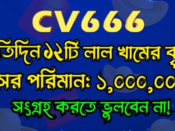 Review image 4